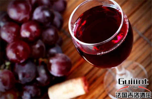 进口葡萄酒有哪些特征？